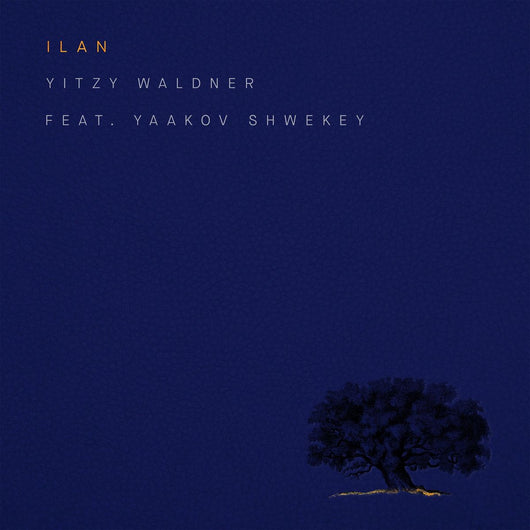 Ilan - Yitzy Waldner ft. Yaakov Shwekey