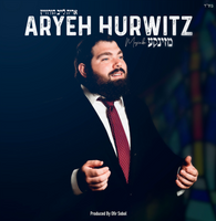 Aryeh Leib Hurwitz - Mezinke