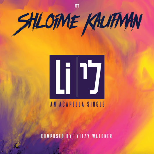 Shloime Kaufman - Li Acapella