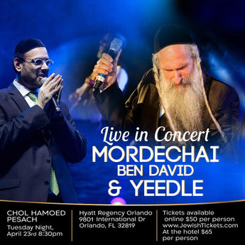 MBD and Yeedle in Concert