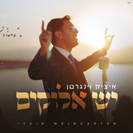 Itzik Weingarten - Yesh Elokim