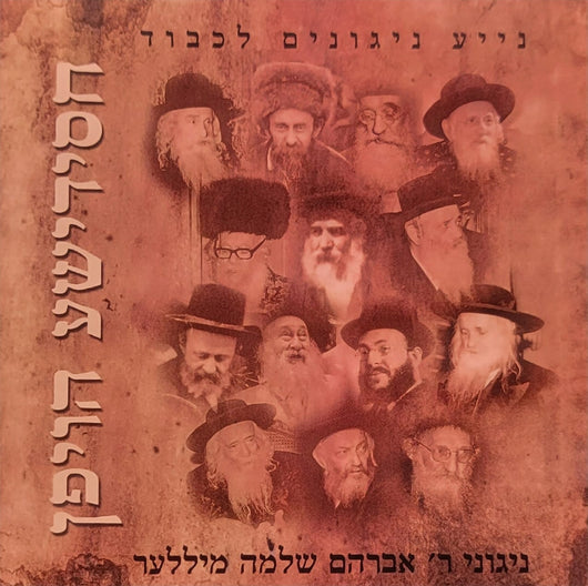 Avraham Shlomo Miller - Chassidishe Hoifen