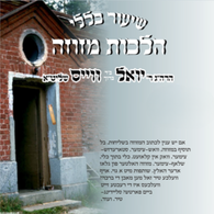 R' Yoel Weiss - Hilchos Mezuza