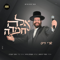 Ari Weiss - Eileh Chamdah