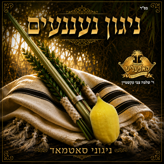 Niggunei Satmar - Nigun Naaneim (Satmar)