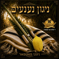 Niggunei Satmar - Nigun Naaneim (Satmar)