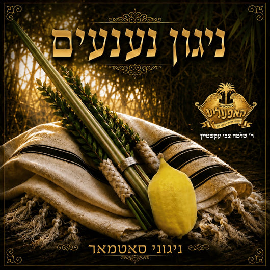 Niggunei Satmar - Nigun Naaneim (Satmar)