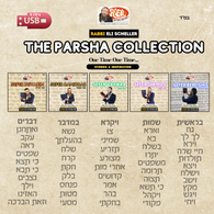 Rabbi Eli Scheller - The Parsha Collection