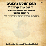 Toichenfila Nigunim - R Yom Tov Ehrlich