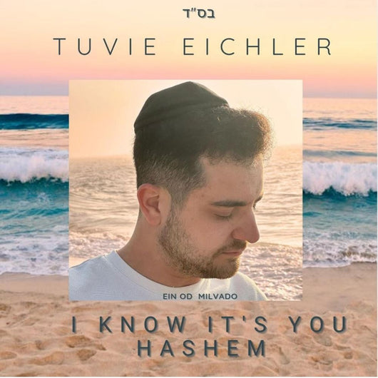 Tuvie Eichler - I Know Its You Hashem