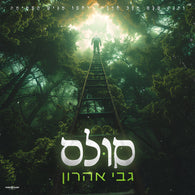 Gabi Aharon - Sulam