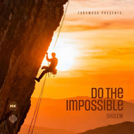 Shulem Lemmer - Do The Impossible