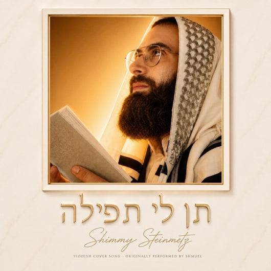 Shimmy Steinmetz - Ten Li Tfilla [Yiddish Cover]