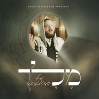 Zrilly Wertzberger - Melech