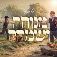Meilech Braunstein - Menucha V'Simcha