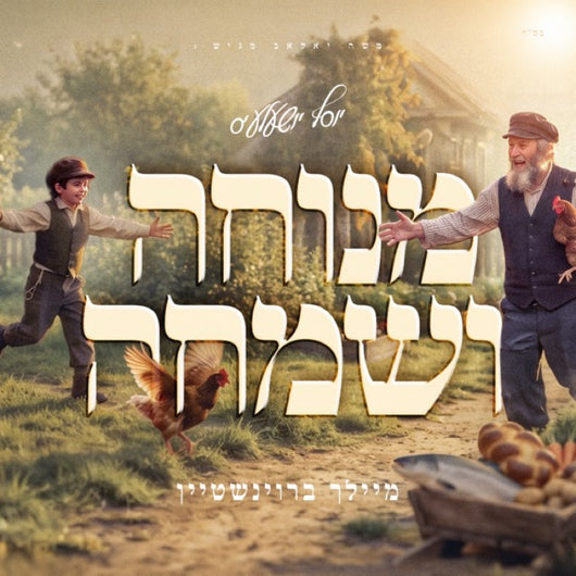 Meilech Braunstein - Menucha V'Simcha