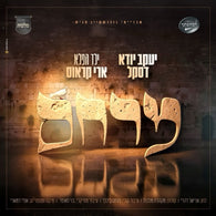 Merachem - Yanky Daskal, Ari Kraus & Malchus Choir