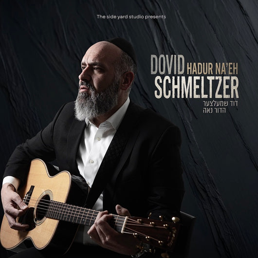 Dovid Schmeltzer - Hadur Naeh