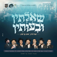 Sheiltin Ivuisin [Medley] - Zanvil Weinberger, Bentzi Stein, Motty Vizel, Yoeli Klein, Shimmy Lipschitz, Ari Krauss, & Malchus Choir
