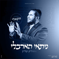 Nitay HaArbeli [Acapella] - Shmulik Klein