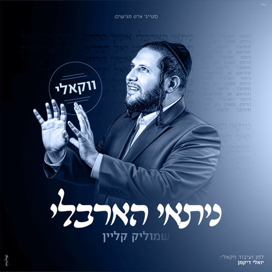 Nitay HaArbeli [Acapella] - Shmulik Klein