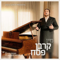 Mein Korban Pesach [Medley] - Duvid Feder