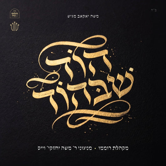 Cheskie Weisz & Roimemu Choir (feat. Shea Berko) - Hod Shebehod