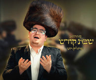 Shabbos Kodesh Medley - Srulik Roth