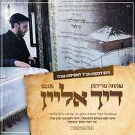 Simche Friedman - Dich Alein