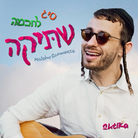Moishy Schwartz - Shtika