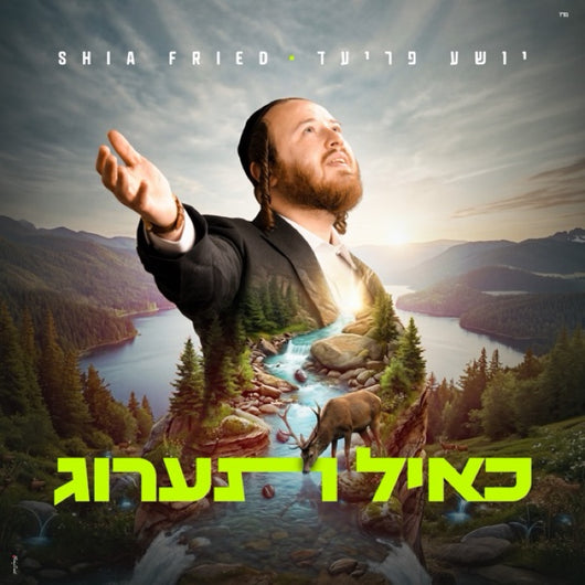K'ayol Taarog - Shia Fried