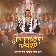Hisorerus Ila'ah [Medley] - Meir Adler