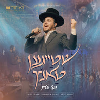 Shteigen Tantz - Bentzi Stein