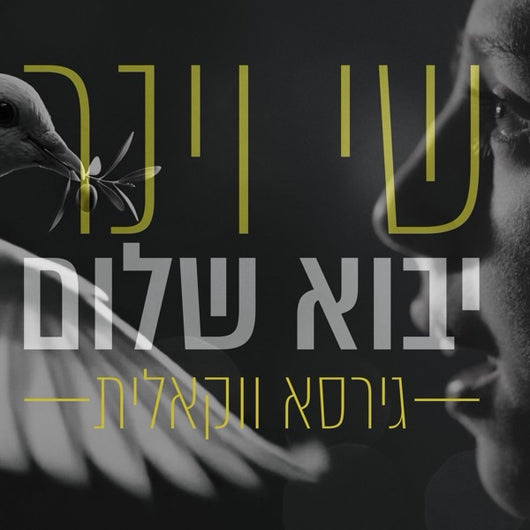 Yavo Shalom [Acapella] - Shay Viner
