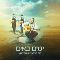 Duvid Feder  feat. Pumpidisa - Yumim Buim