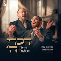 Divrei Hashem - Yitzy Waldner & Mayer Engel