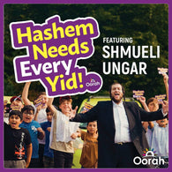 Hashem Needs Every Yid - Shmueli Ungar