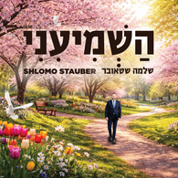 Shlomo Stauber - Hashmiyeni