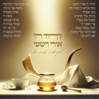 Avremi Roth - Ledovid