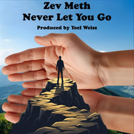 Zev Meth - Never Let You Go