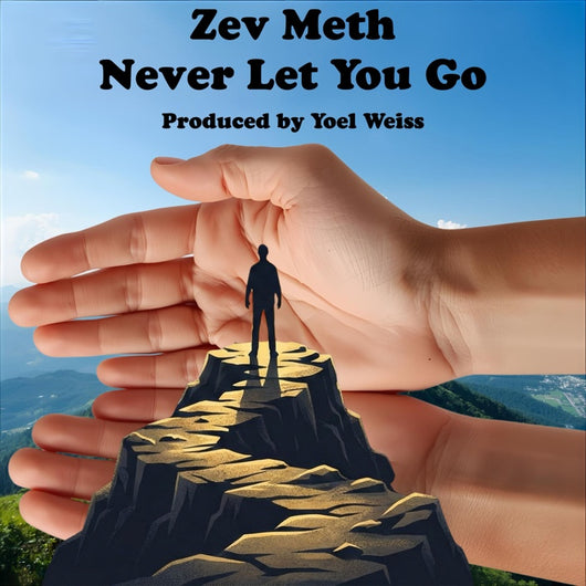 Zev Meth - Never Let You Go