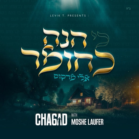 Eli Marcus (feat. Moshe Laufer) - Ki Hinei Kachomer