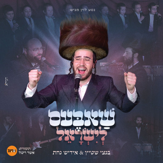 Bentzi Stein - Shabbos L'yisroel