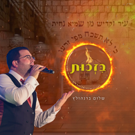 Shalom Bernholtz - Bizchus