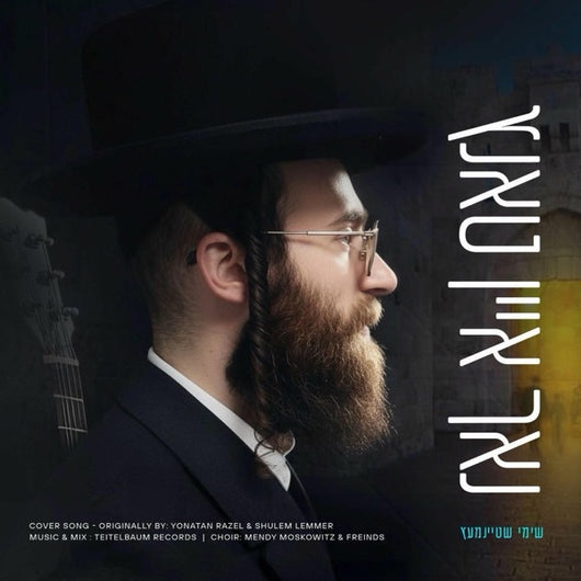 Shimmy Steinmetz - One More Dance (Yiddish Cover)