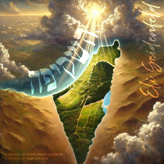 Eli Seidenfeld - Hashkifa