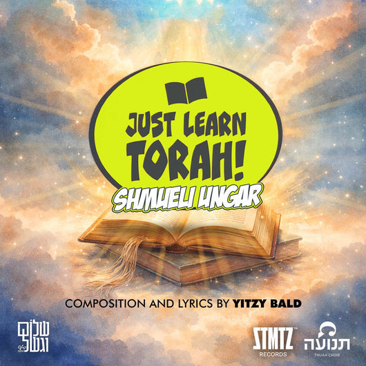 Just Learn Torah - Shmueli Ungar