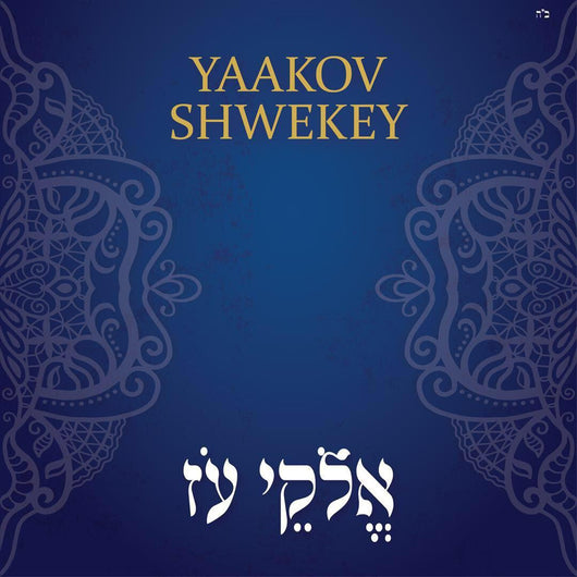 Yaakov Shwekey - Elokei Oz