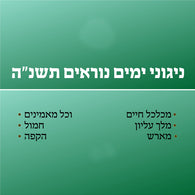 Yomim Noraim 5755 - Nigunei Satmar