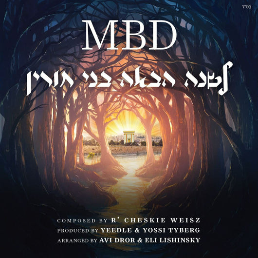 Mordechai Ben David - Leshana Haba Bnei Chorin